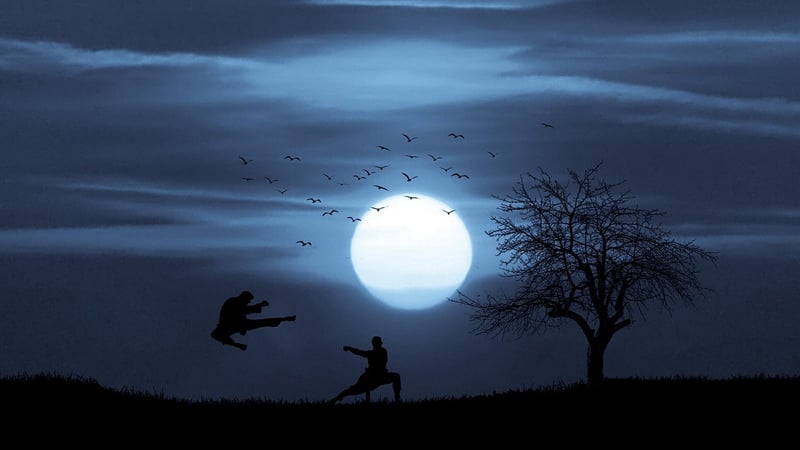 Chen Style Martial Arts